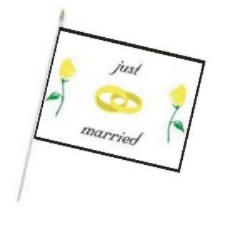 Banner at wooden stick...Just married